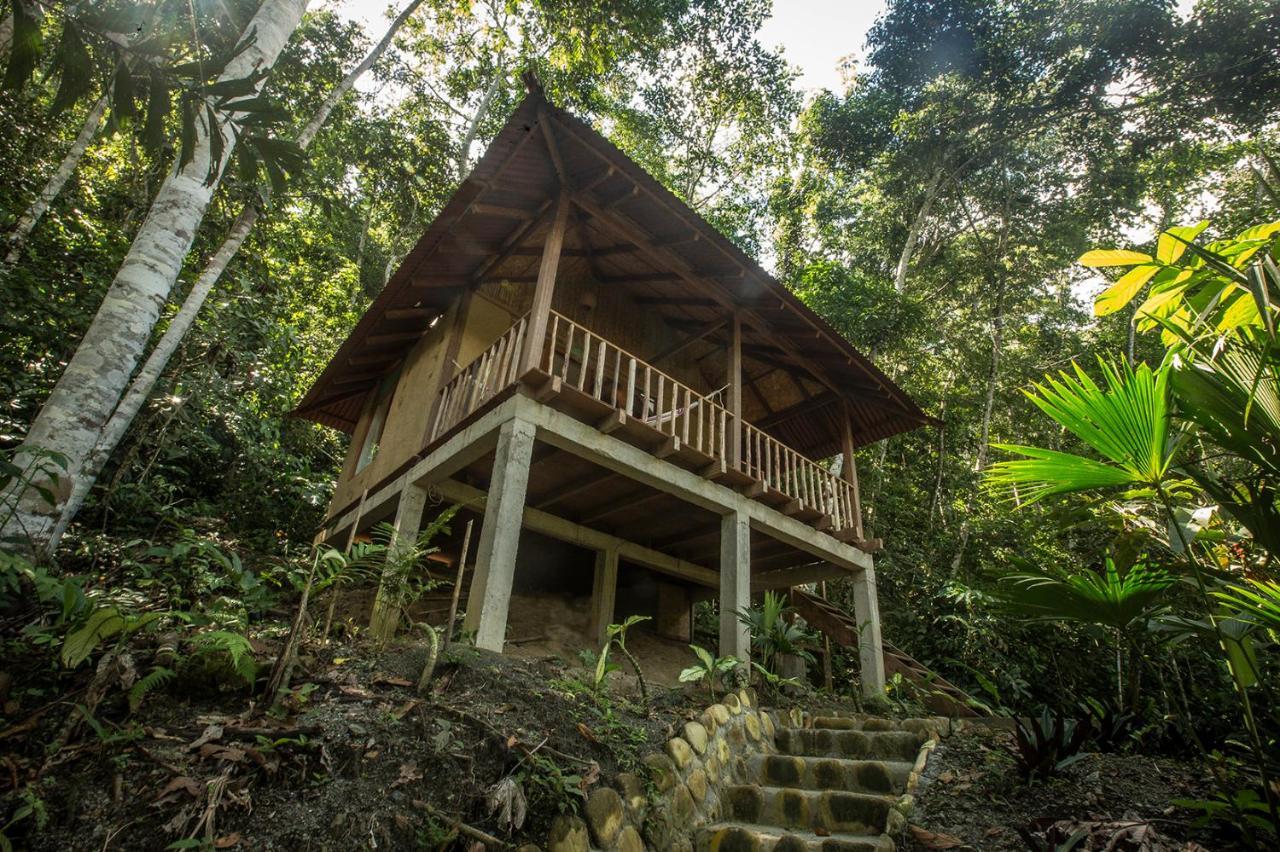 Chirapa Manta Amazon Lodge Lamas Exteriör bild