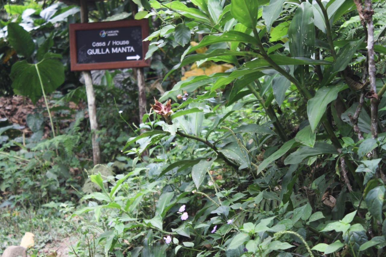 Chirapa Manta Amazon Lodge Lamas Exteriör bild
